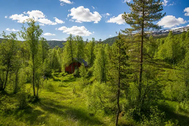 Redigert med AI
