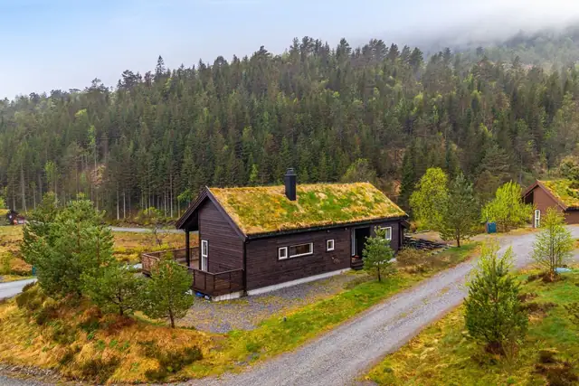 Holsetevegen 219 — bilde 5